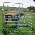 Panneaux de trempage à chaud de norme canadienne utilisés comme bétail (bovins / ovins / caprins / chevaux)